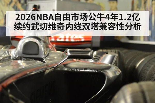 2026NBA自由市场公牛4年1.2亿续约武切维奇内线双塔兼容性分析 | jiuyou