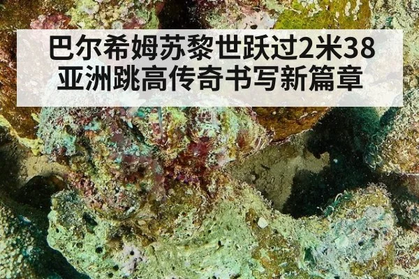 巴尔希姆苏黎世跃过2米38 亚洲跳高传奇书写新篇章 | jiuyou game