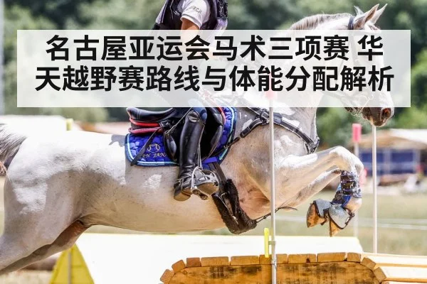 horse rider endurance training